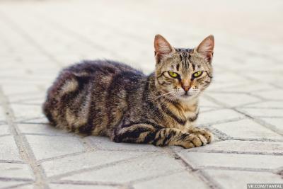 Прикрепленное изображение: 20110724_17-53-51_IMG_6235.jpg